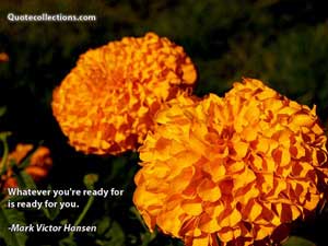 mark_victor_hansen_quotes Quotes 4